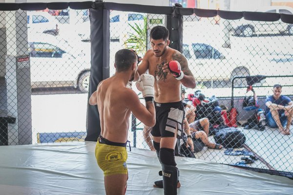 Quali sono i migliori piani di allenamento per il bodybuilding per principianti?